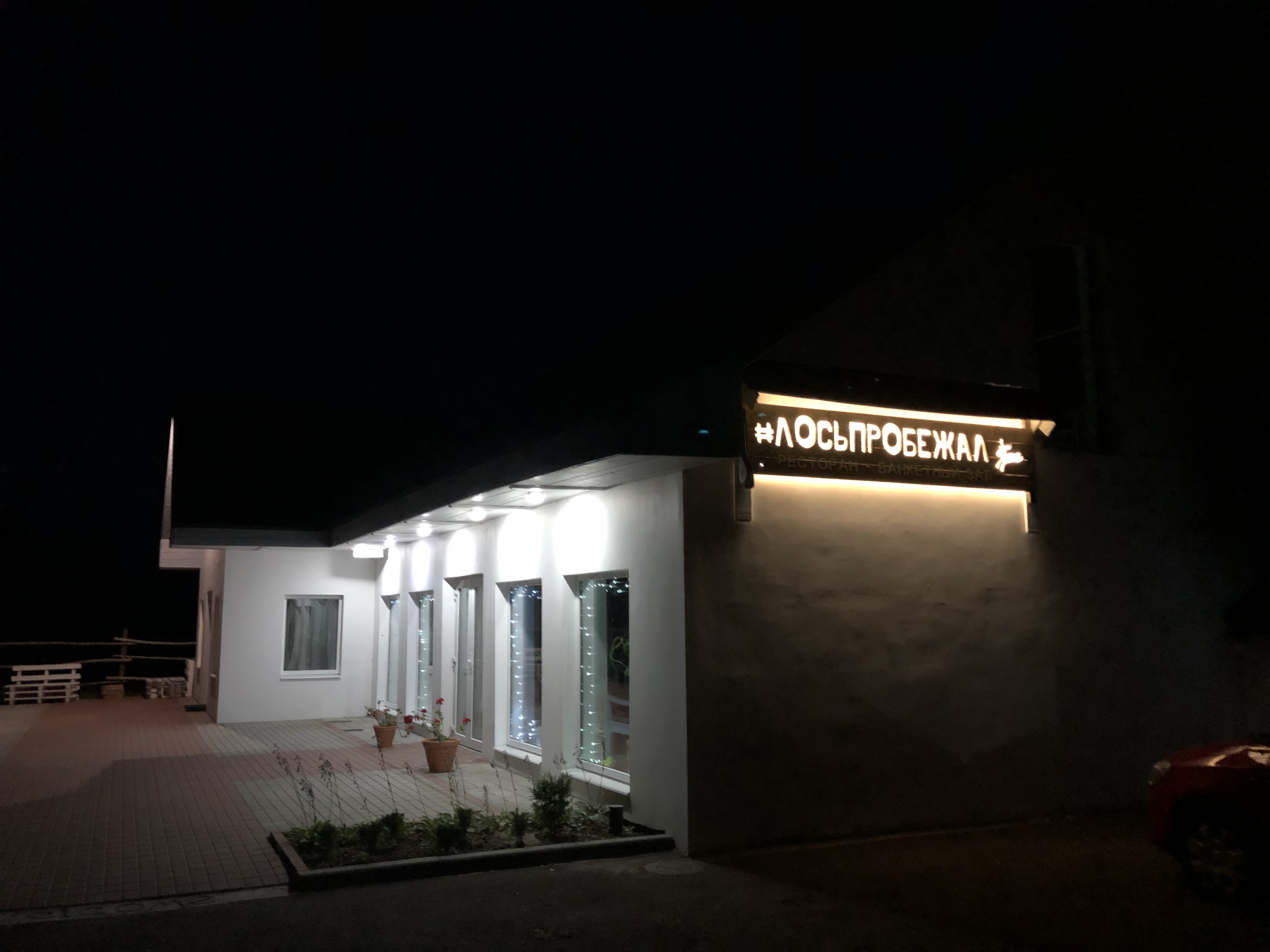 Фото Лосьпробежал