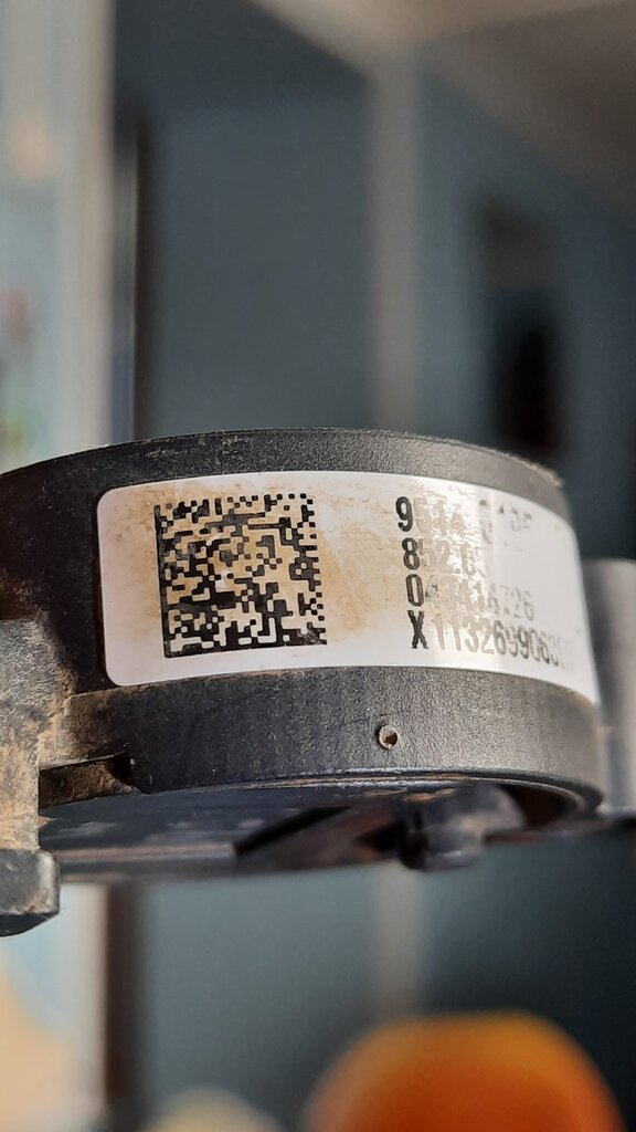 Sports equipment SkyRunner, Pskov Oblast, photo