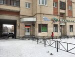 Оккервиль (ул. Коллонтай, 28, корп. 1, Санкт-Петербург), окна в Санкт‑Петербурге