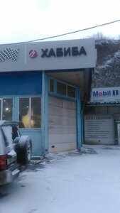 Khabiba (Kamskaya Street, 1с2), car service, auto repair