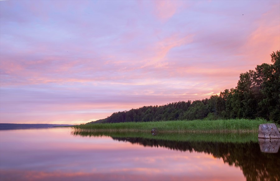 Фото Лосево Парк