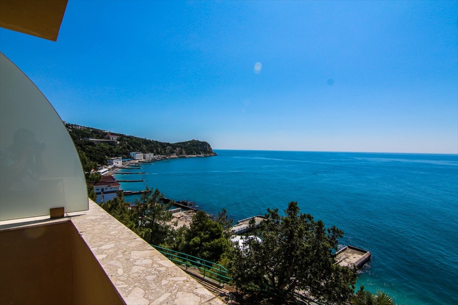 Фото Сосновая роща