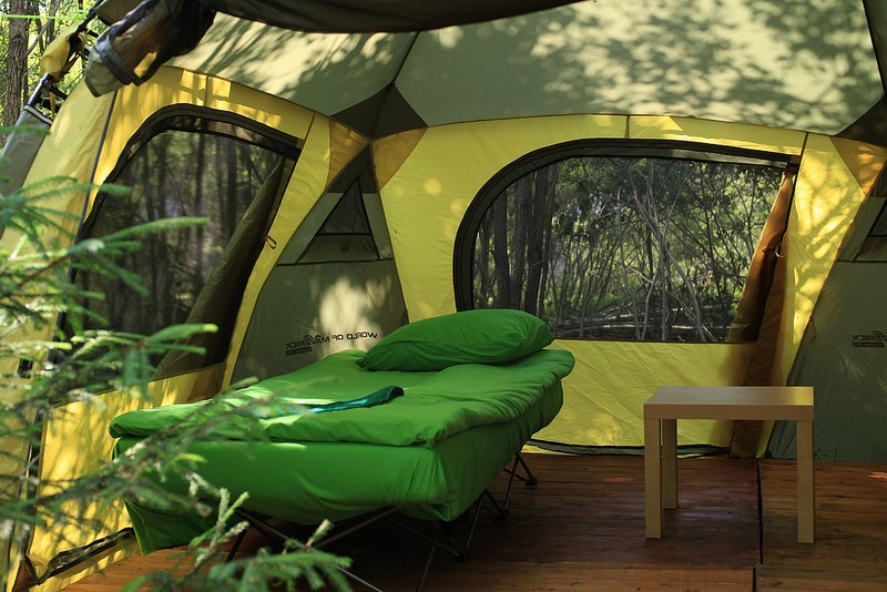 Фото Никола-Ленивец