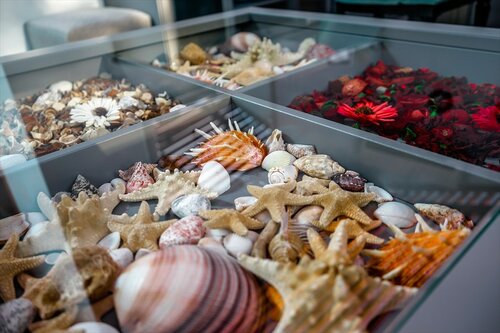 Внешний вид отеля Вилла Дежа Вю в Сочах, фото 4