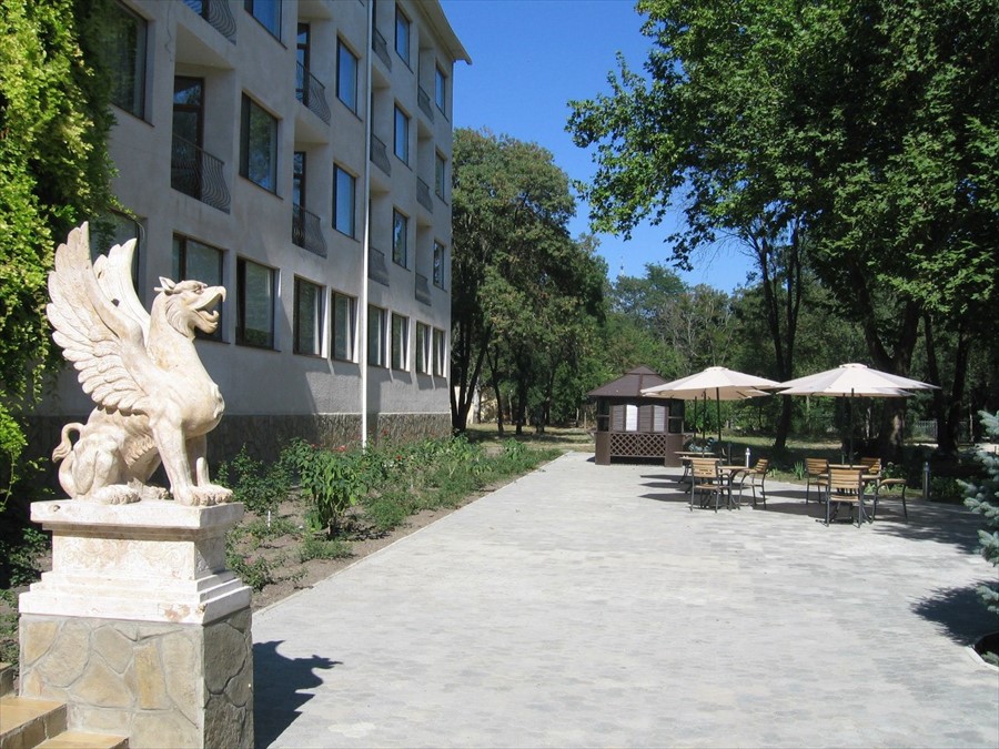 Фото Мечта Тея