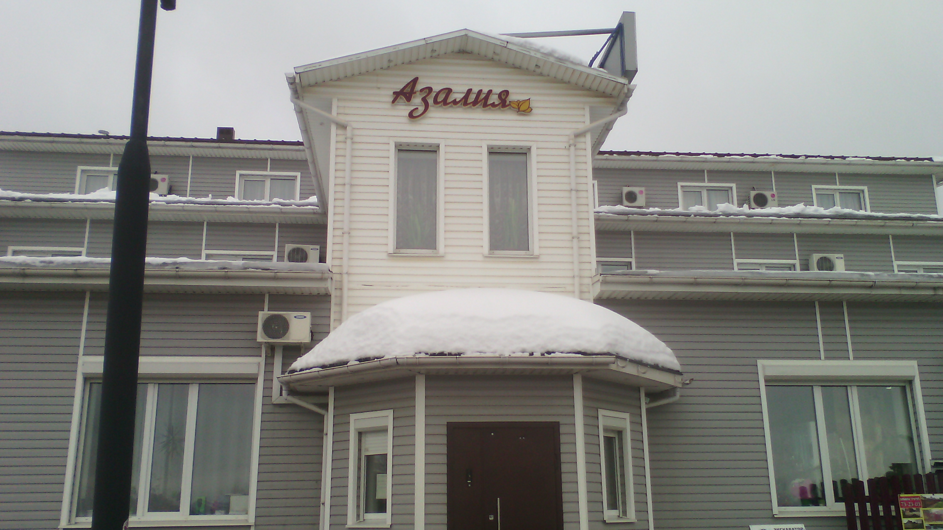 Фото Азалия