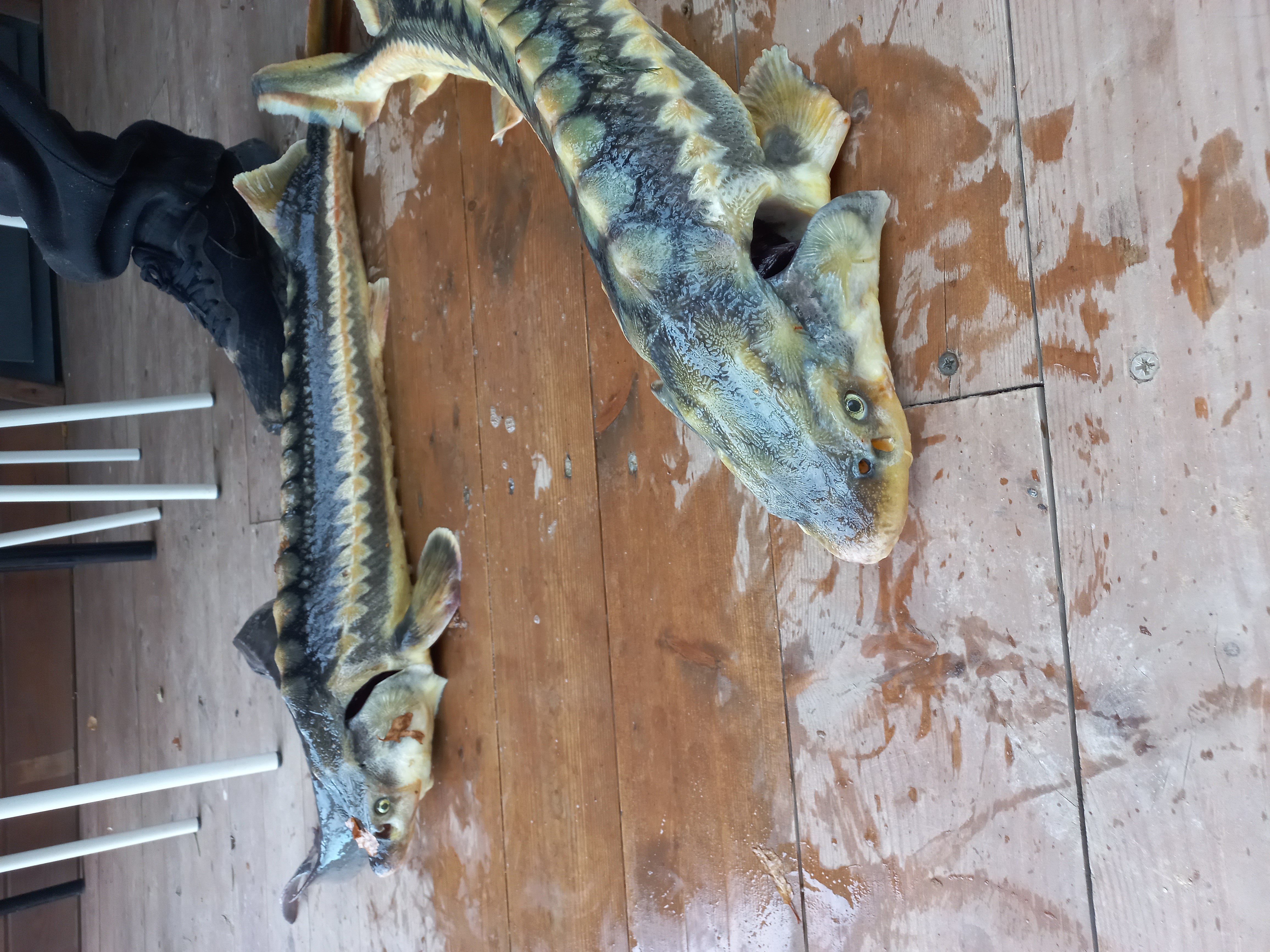 Фото Место клёва