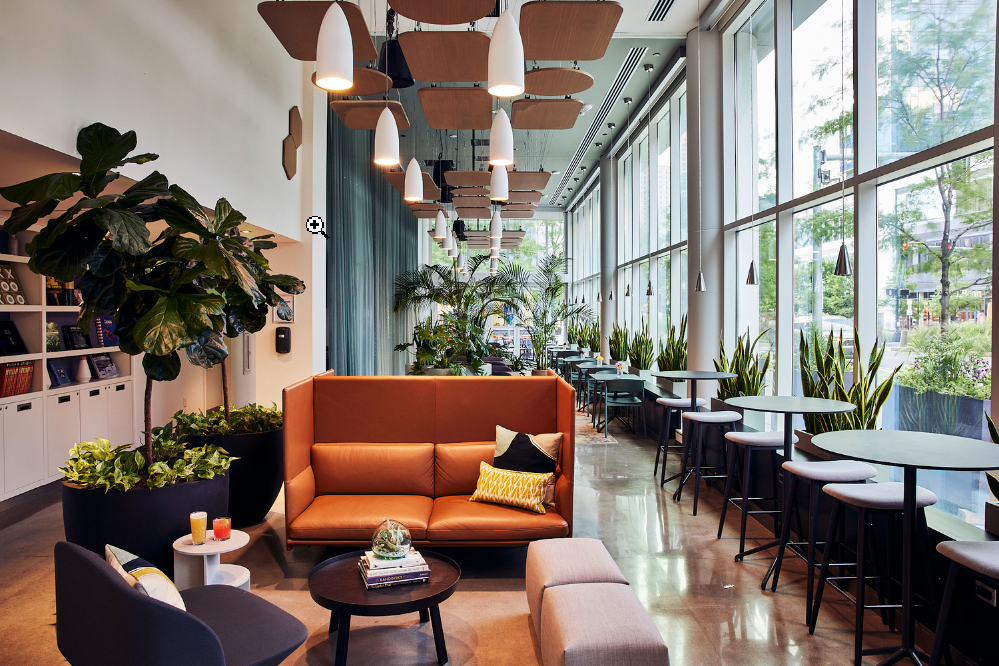 Фото отеля 5