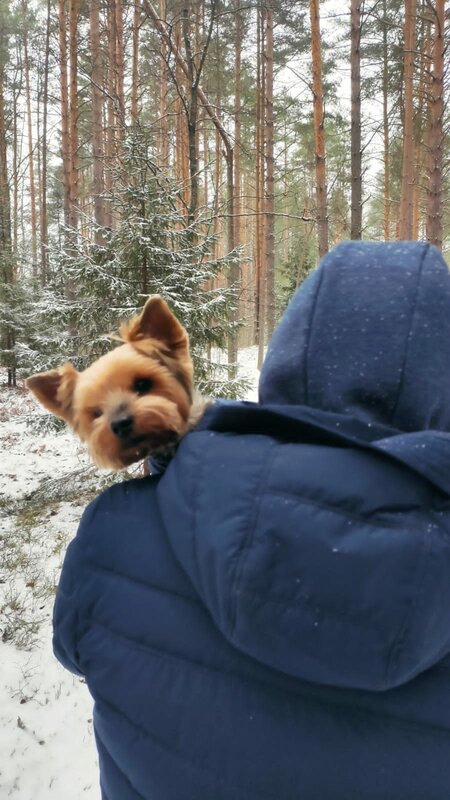Усадьба на Шамокше — фото 41