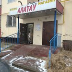Qiwi (Alatau City Administrative District, Zerdeli shaǵyn aýdany, 1/75), payment terminal
