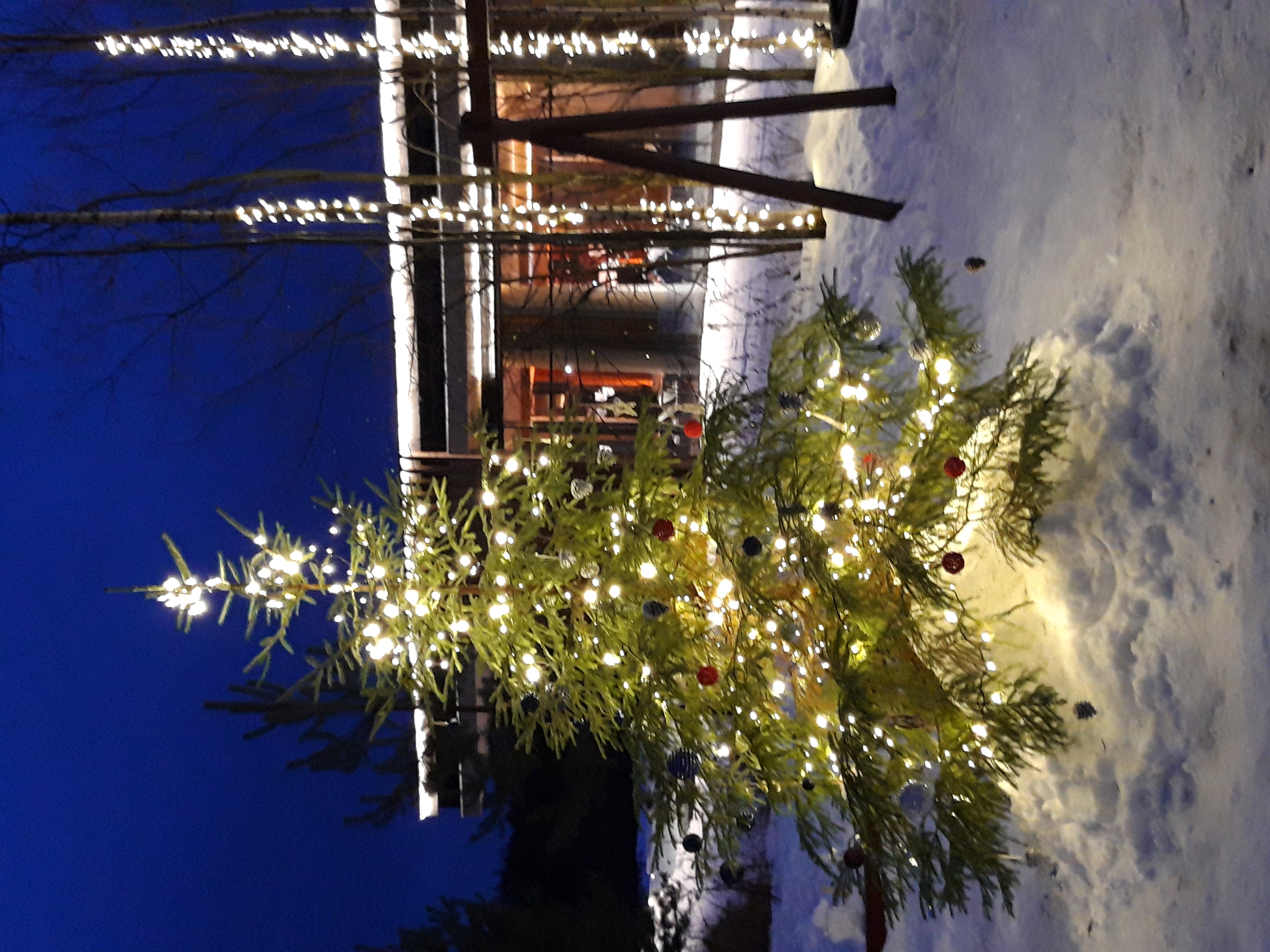 Фото Точка на карте Лодейное Поле