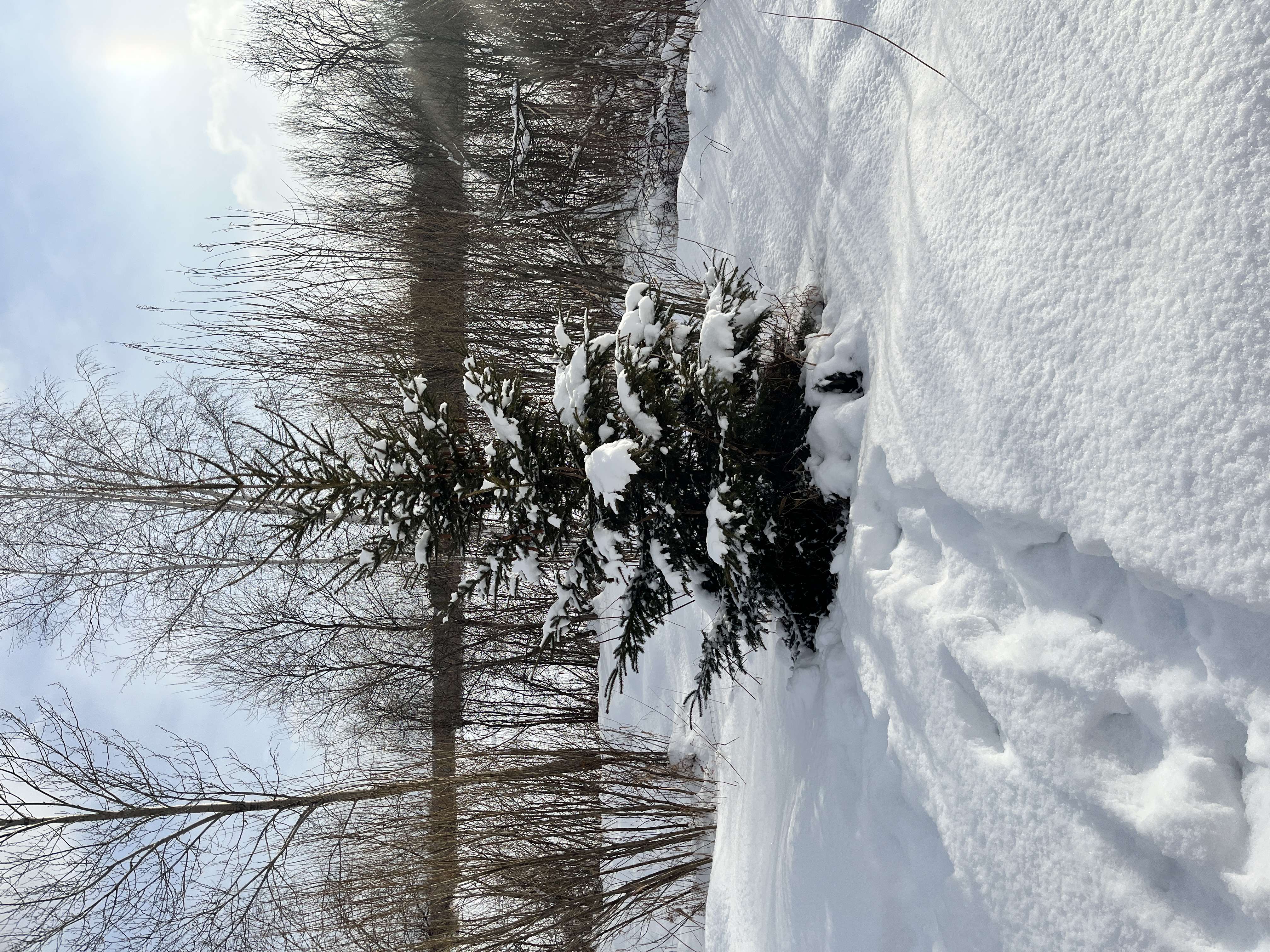 Фото Семейный уют