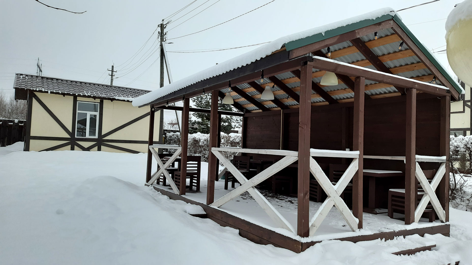 Фото Волков Скай