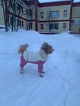 Мурмаркет (Profsoyuznaya ulitsa, 7), pet shop