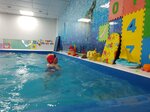 Fots lev (Proletarskaya Street, 37), swimming pool