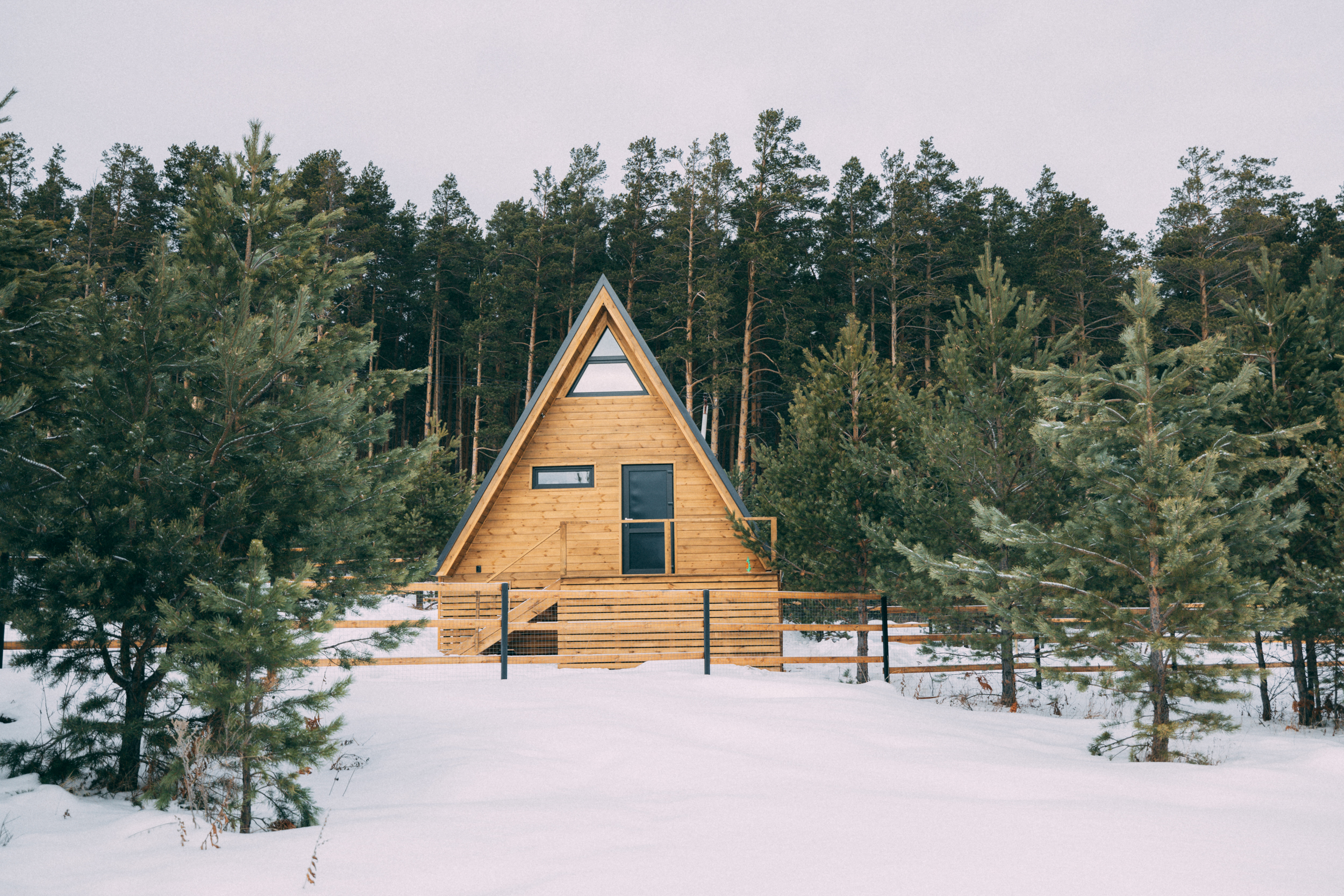 Фото Ёлки Кэмп