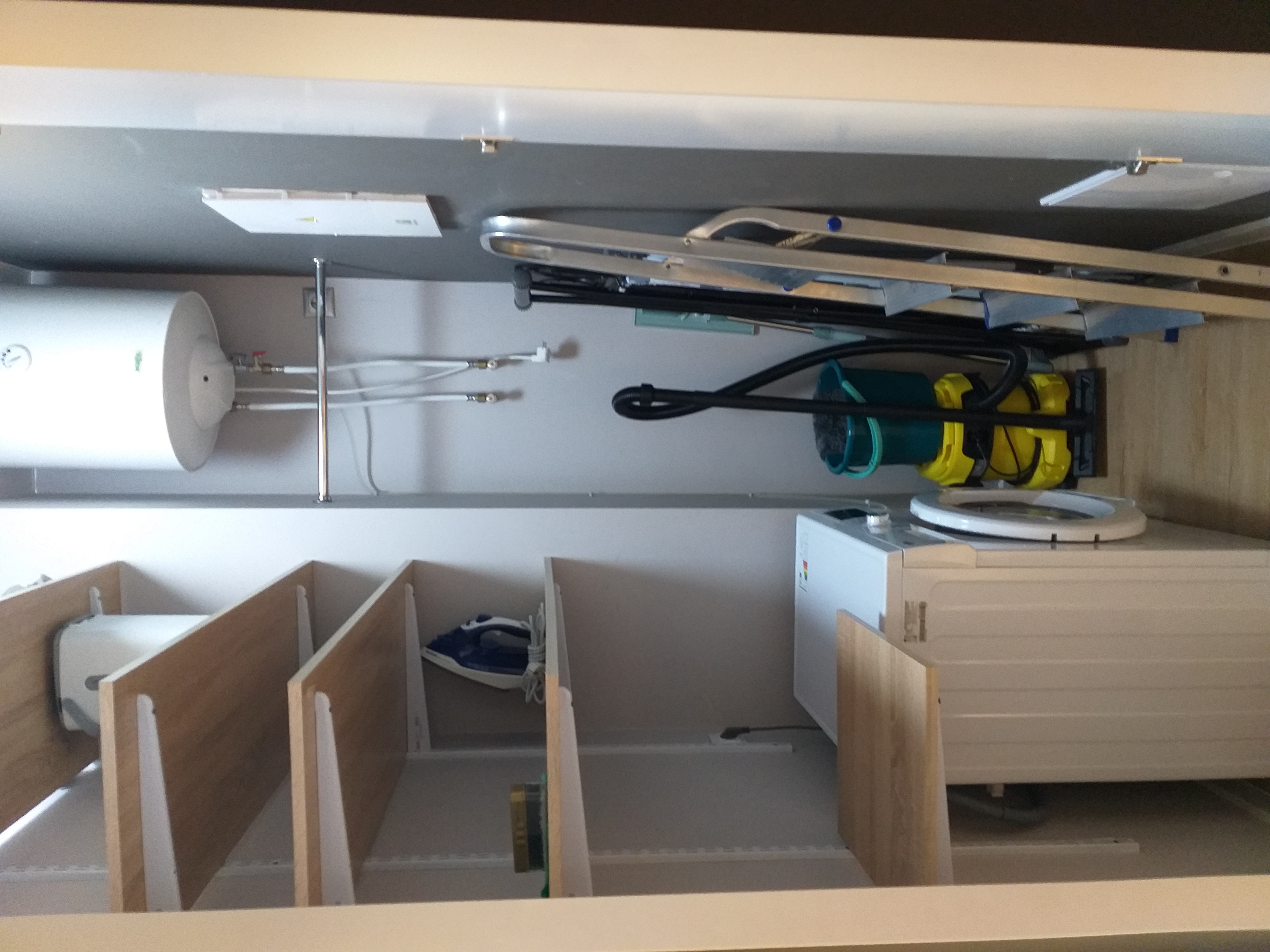 Фото Белый Клевер