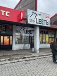 Dari Cvety (Privokzalnaya Square, 1Б), flower shop