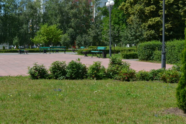 Park Исторический парк 22 июня 1941 года, Stariy Oskol, photo