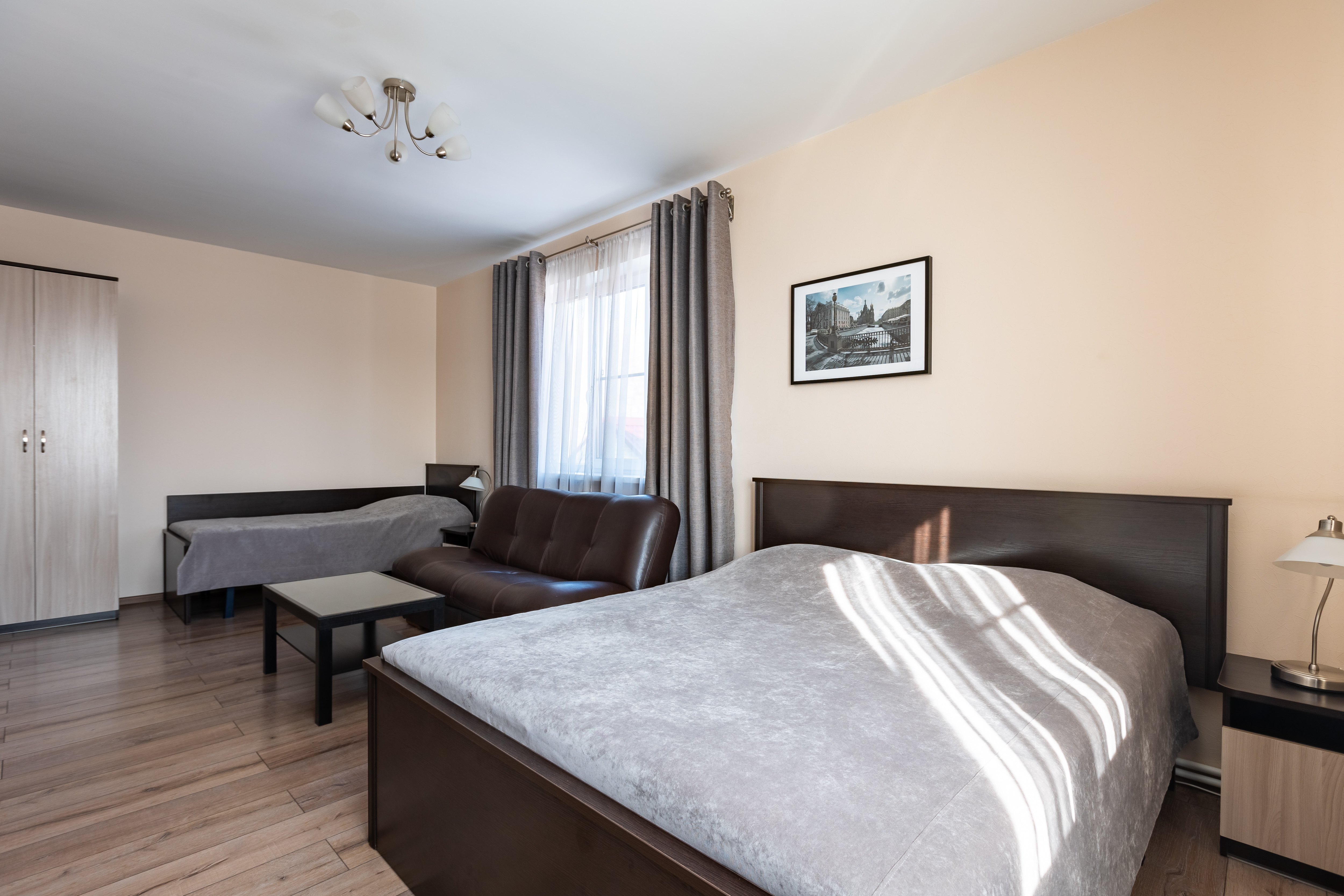 Фото Подсолнух