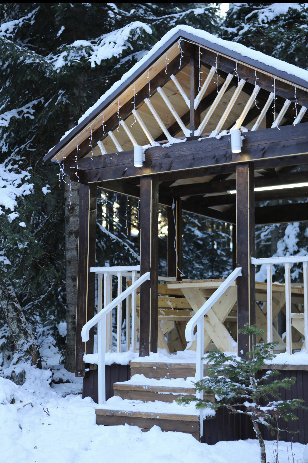 Фото Беркут Архыз