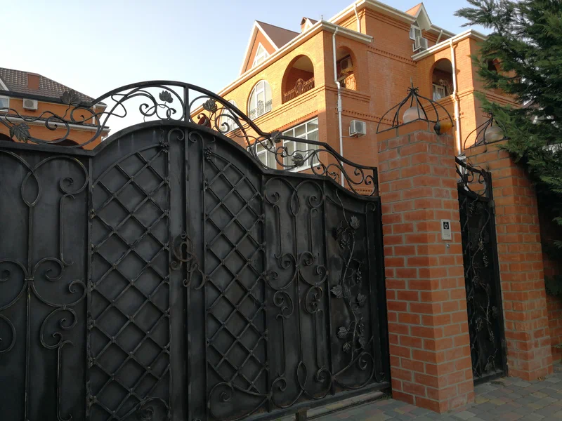 Фото Багира