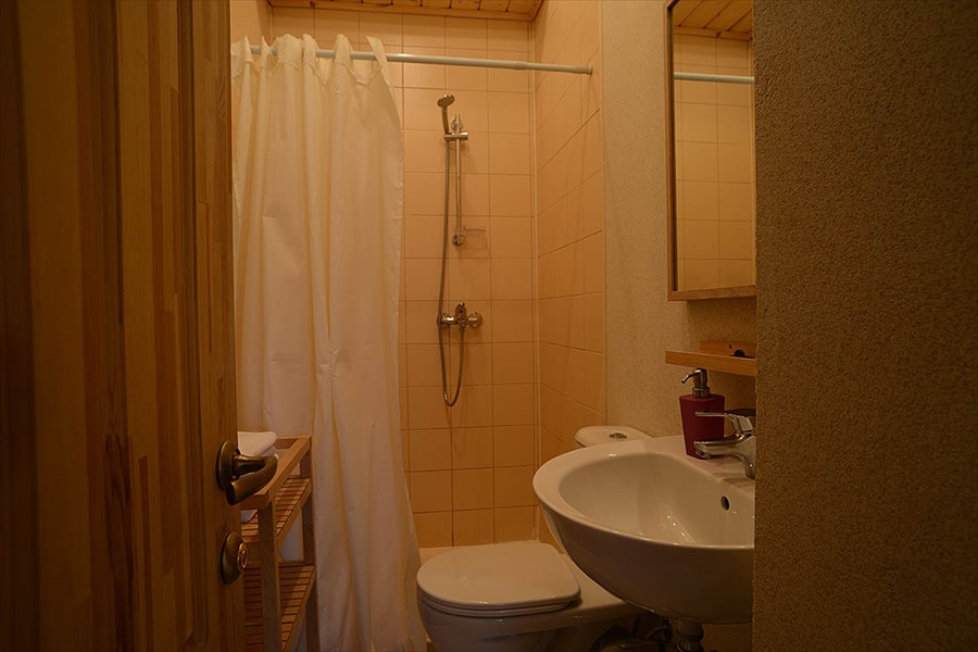 Фото Никола-Ленивец