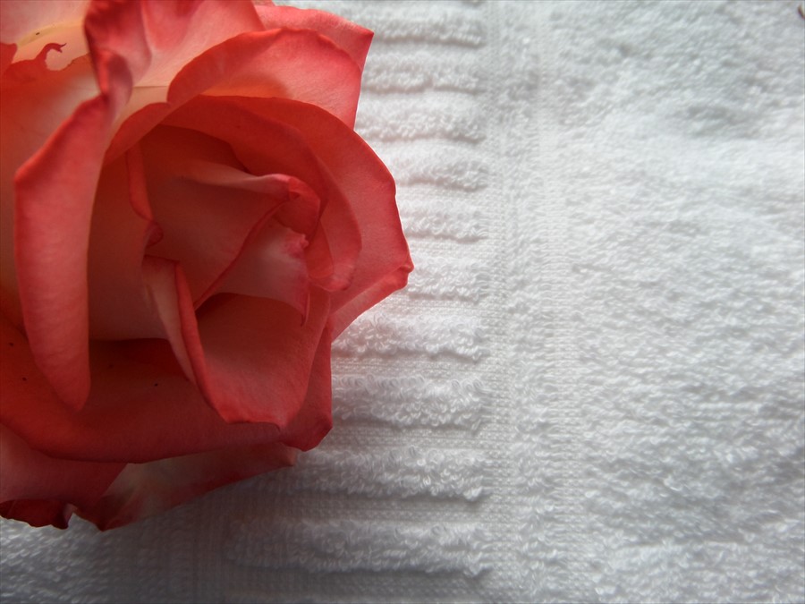 Фото Курортный Отель Гринцовский