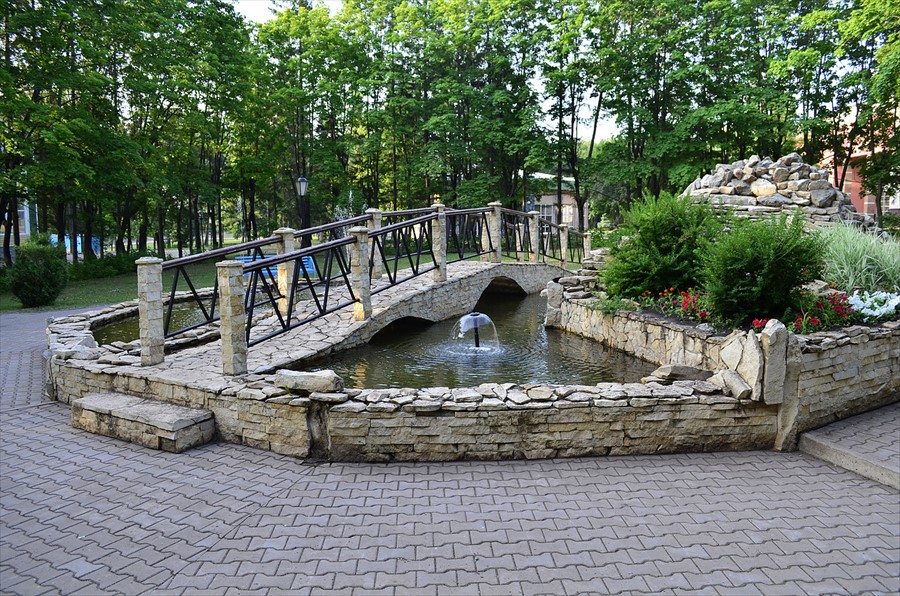 Фото Зеленая роща