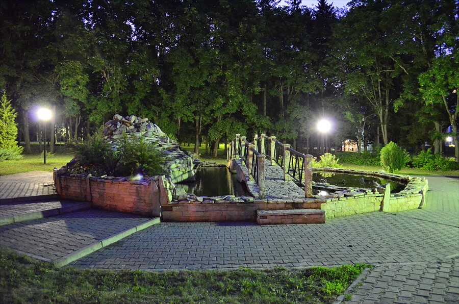 Фото Зеленая роща