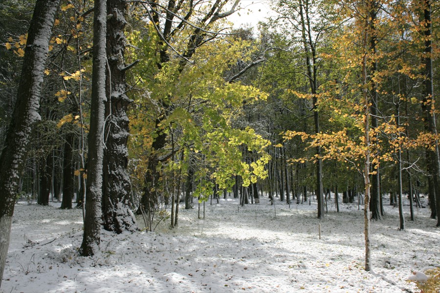 Фото Амакс Ершово
