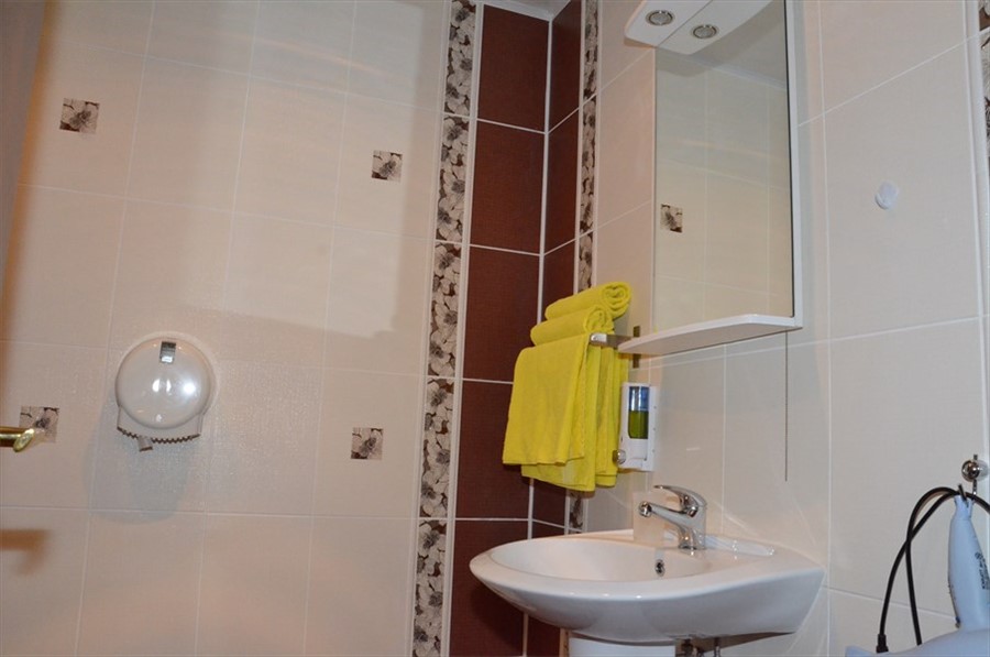 Фото Алая роза