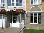 Sunni rose (Makarenko Street, 34), flower shop