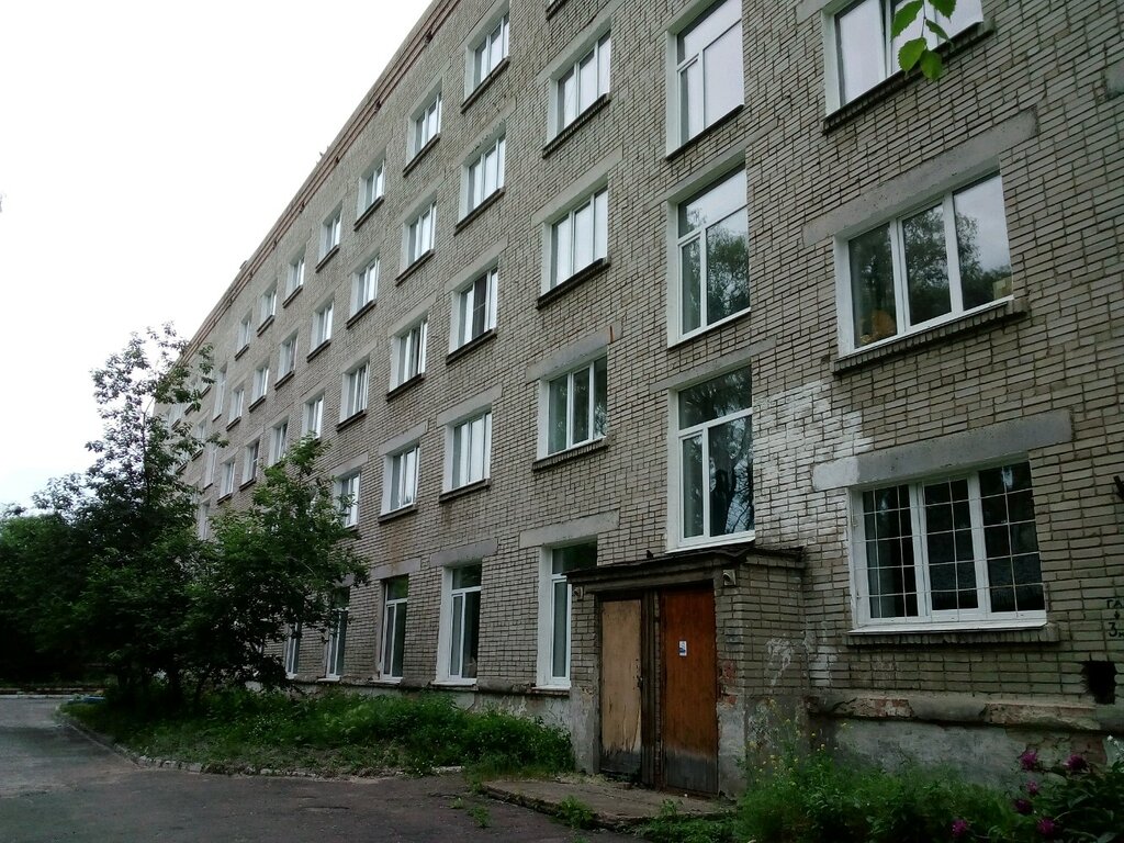 سكن Obshchezhitiye Omskogo oblastnogo kolledzha kultury i iskusstva ، أومسك، صورة