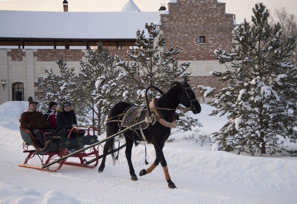 Фото La Ferme de Reve