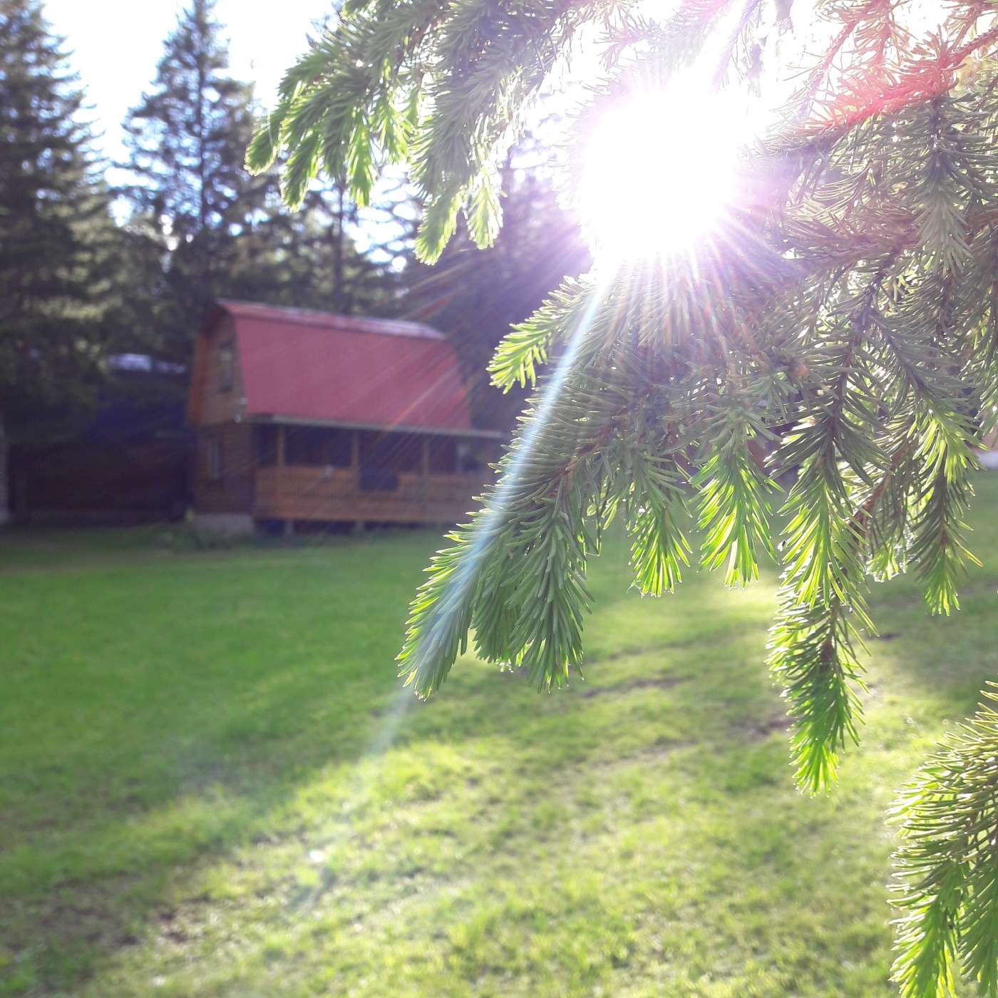 Фото Раухова мельница