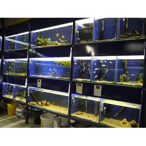 ЗооМаг Б. Х., зоомагазин, ул. Богдана Хмельницкого, 42, Миасс — Яндекс ...