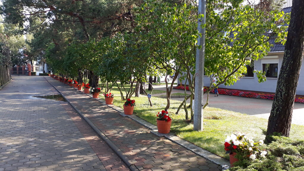 Recreation infrastructure Спальный корпус № 4, Kaliningrad Oblast, photo