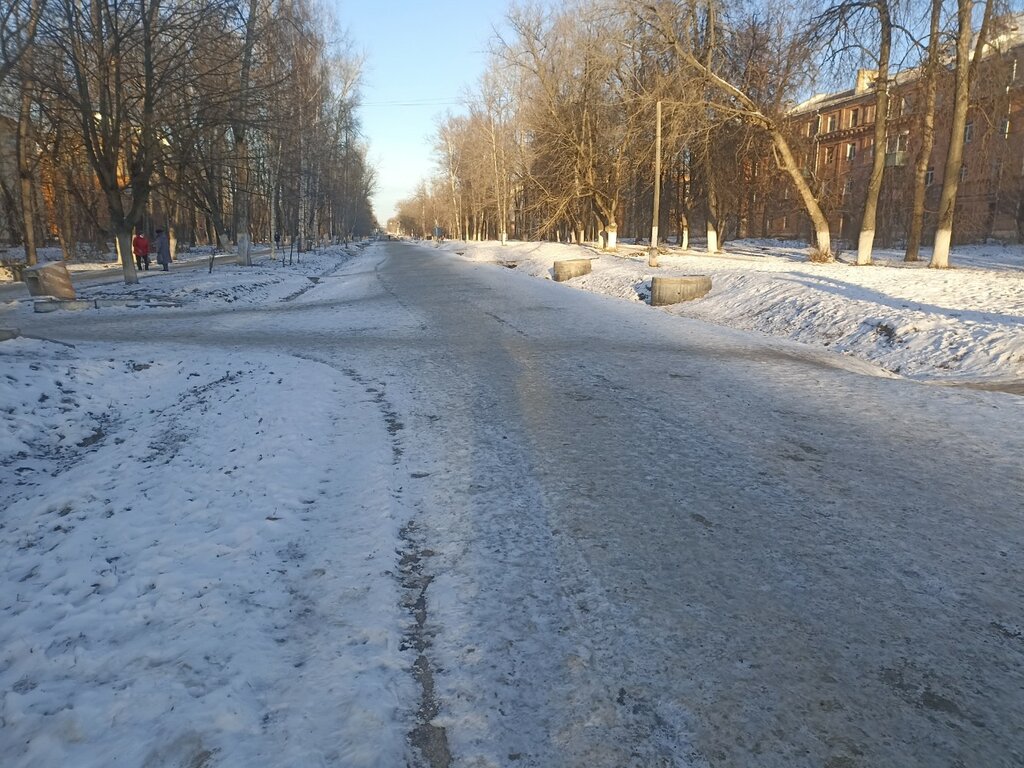 الغابات Аллея Героя Советского Союза Александра Белякова ، ريازان، صورة