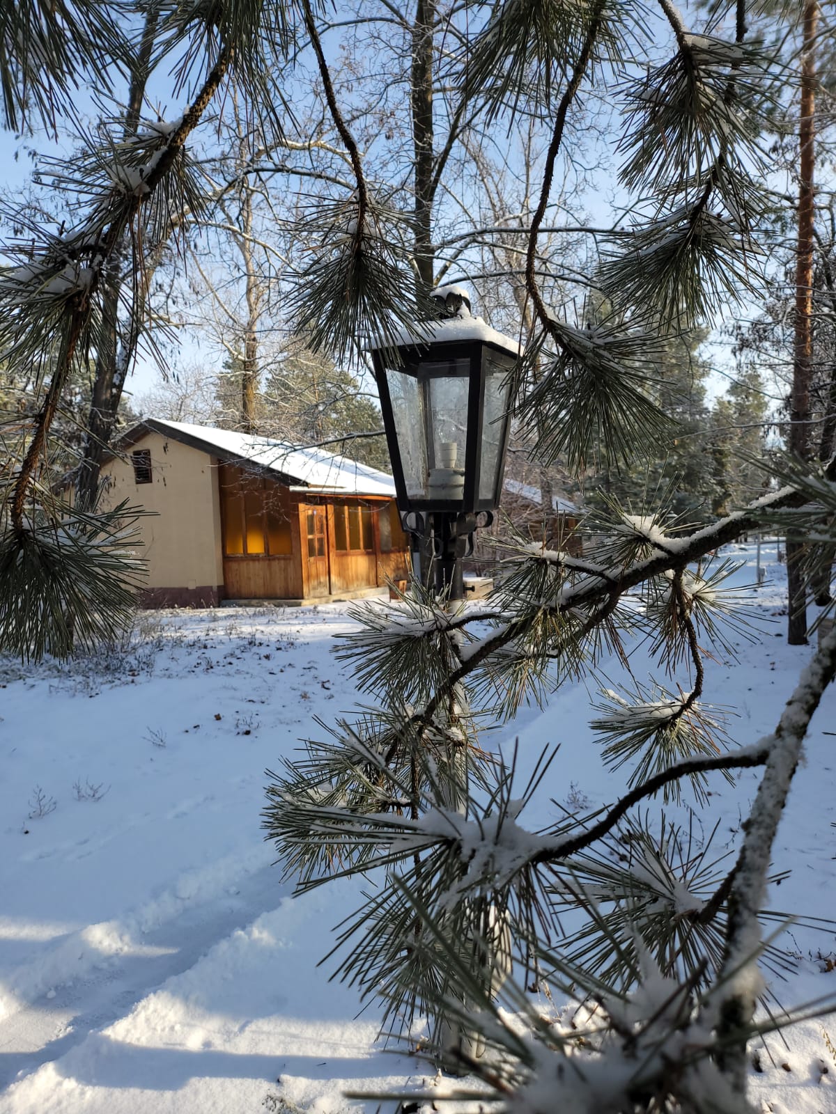 Фото Ветерок