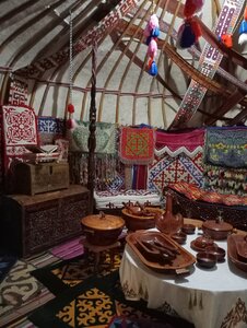 Tukli etuk mushukda tugadi