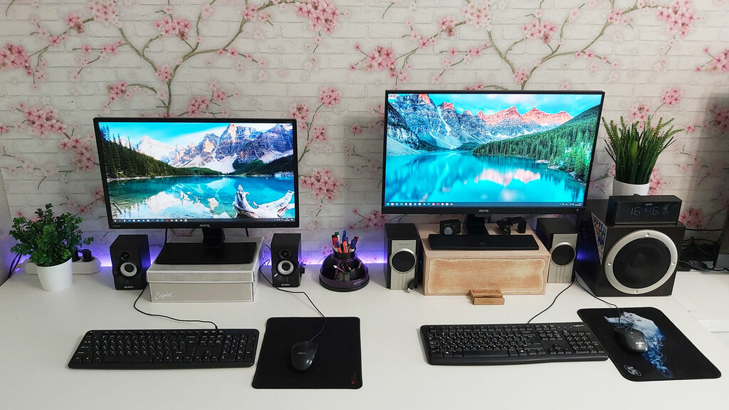 IT company WEBmaster, Minsk, photo