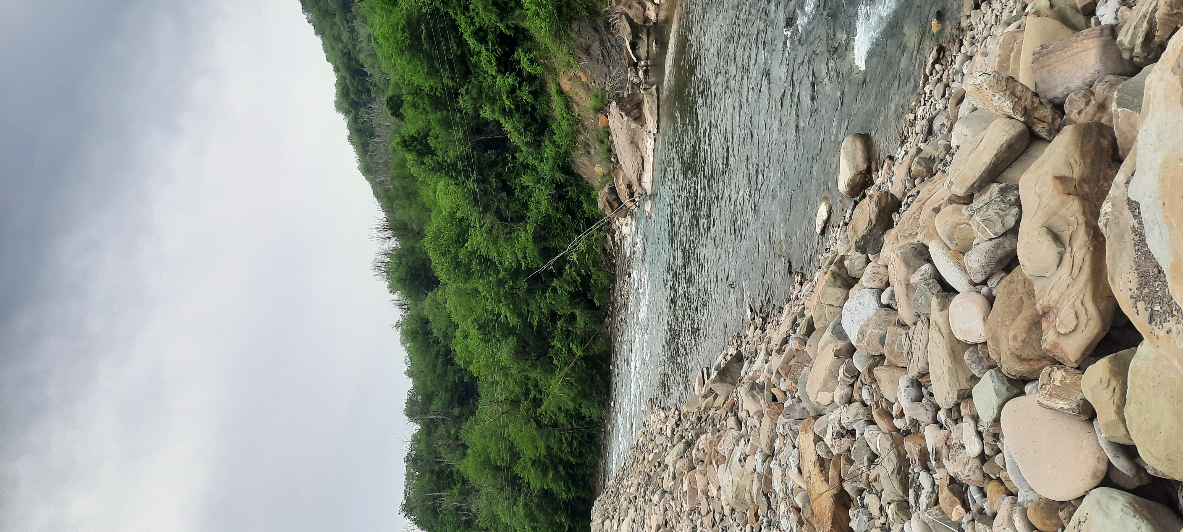 Фото Приют у реки