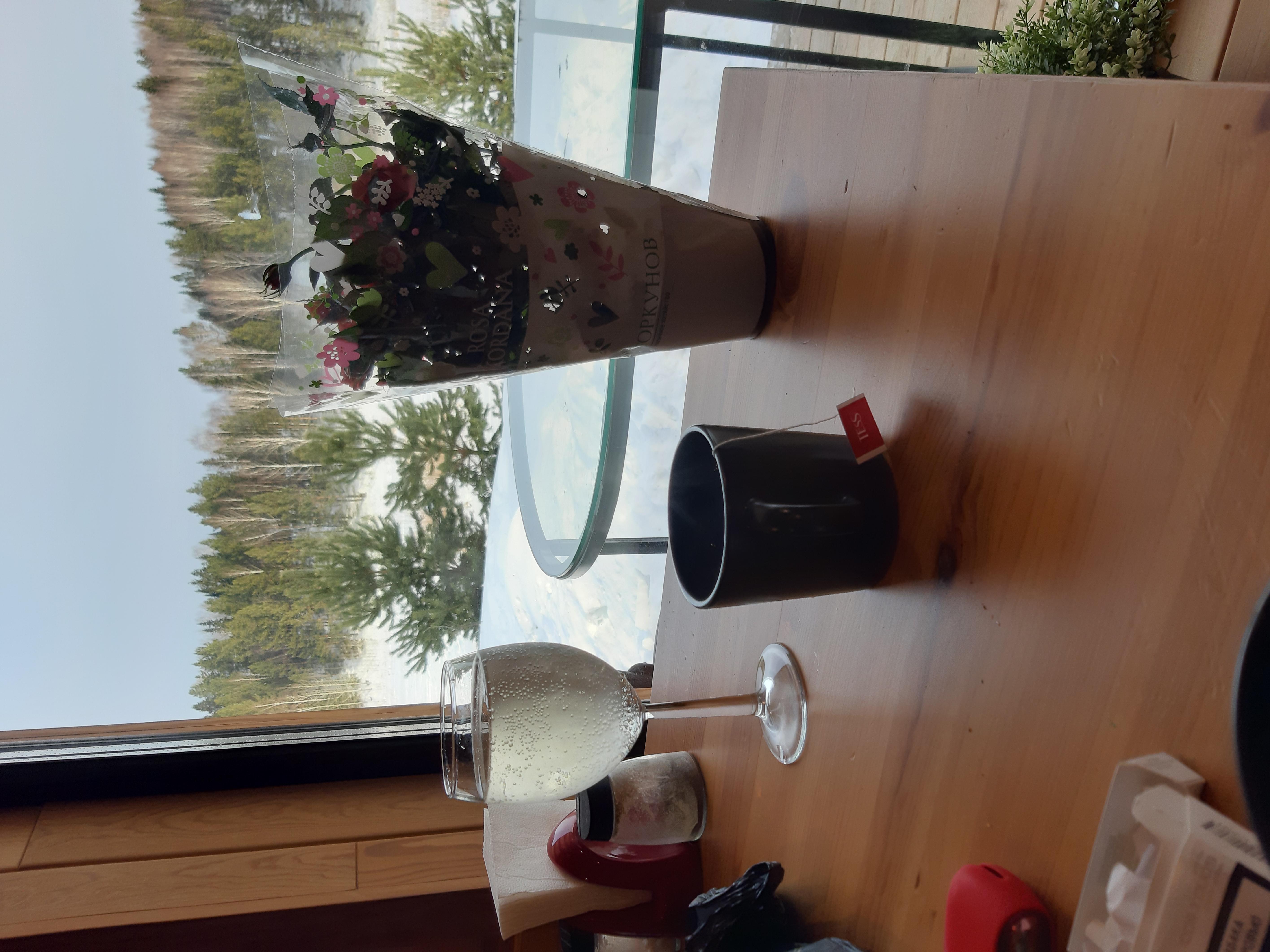 Фото Мартьяновская дуга