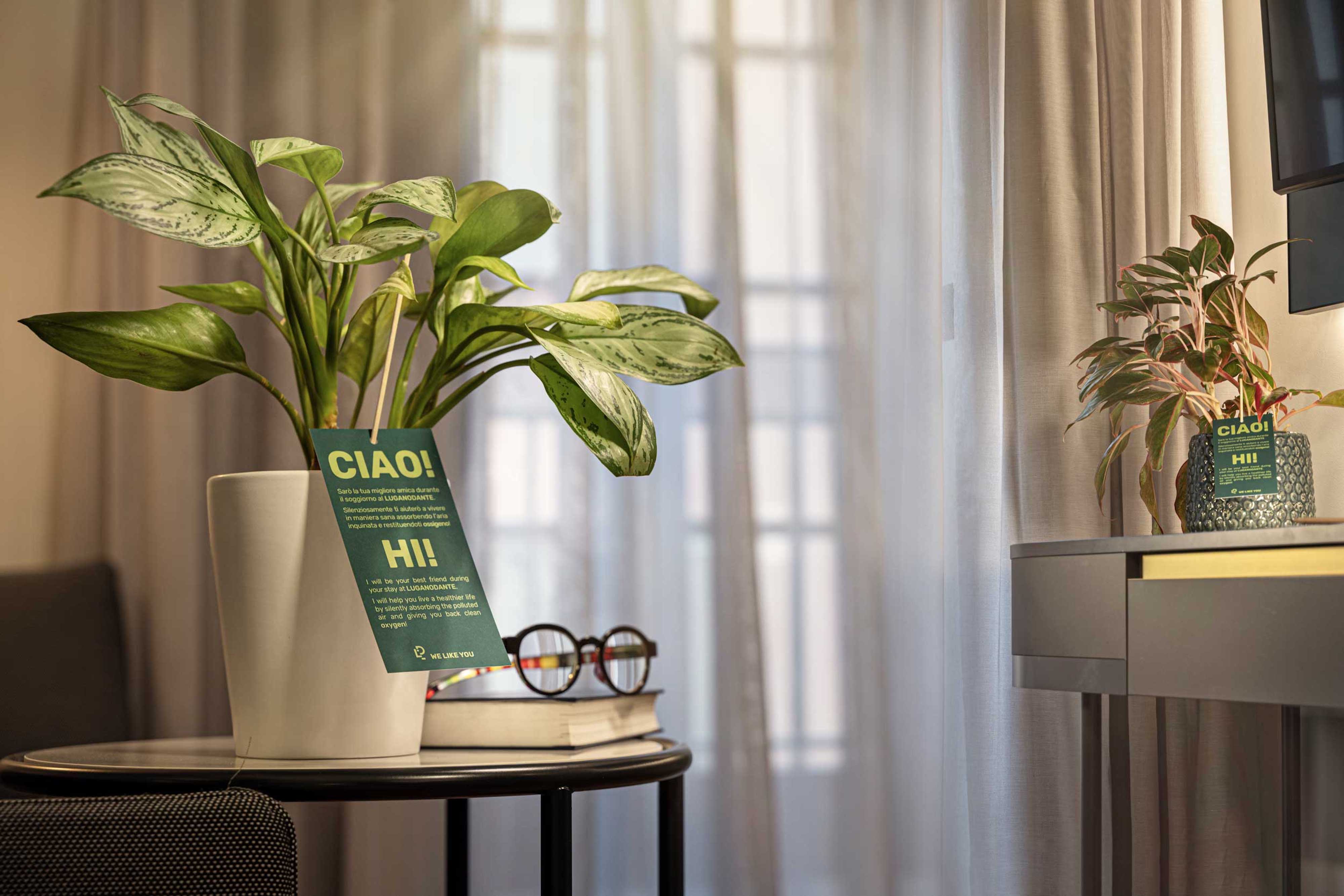 Фото Luganodante - We Like You