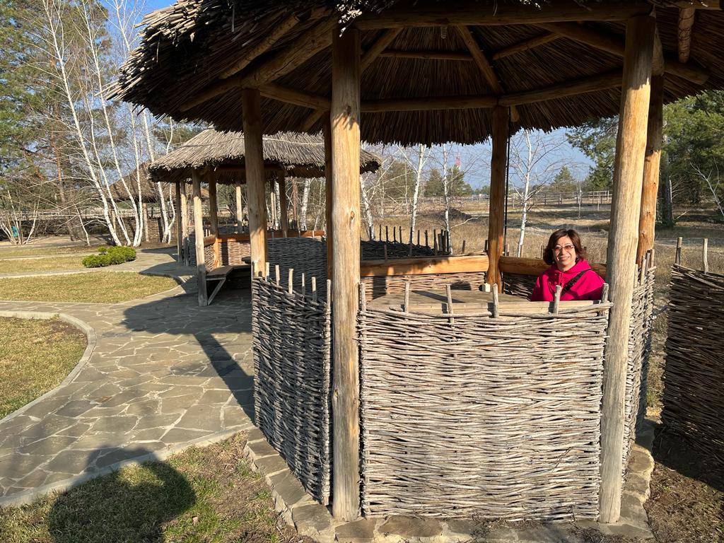 Фото Лесная