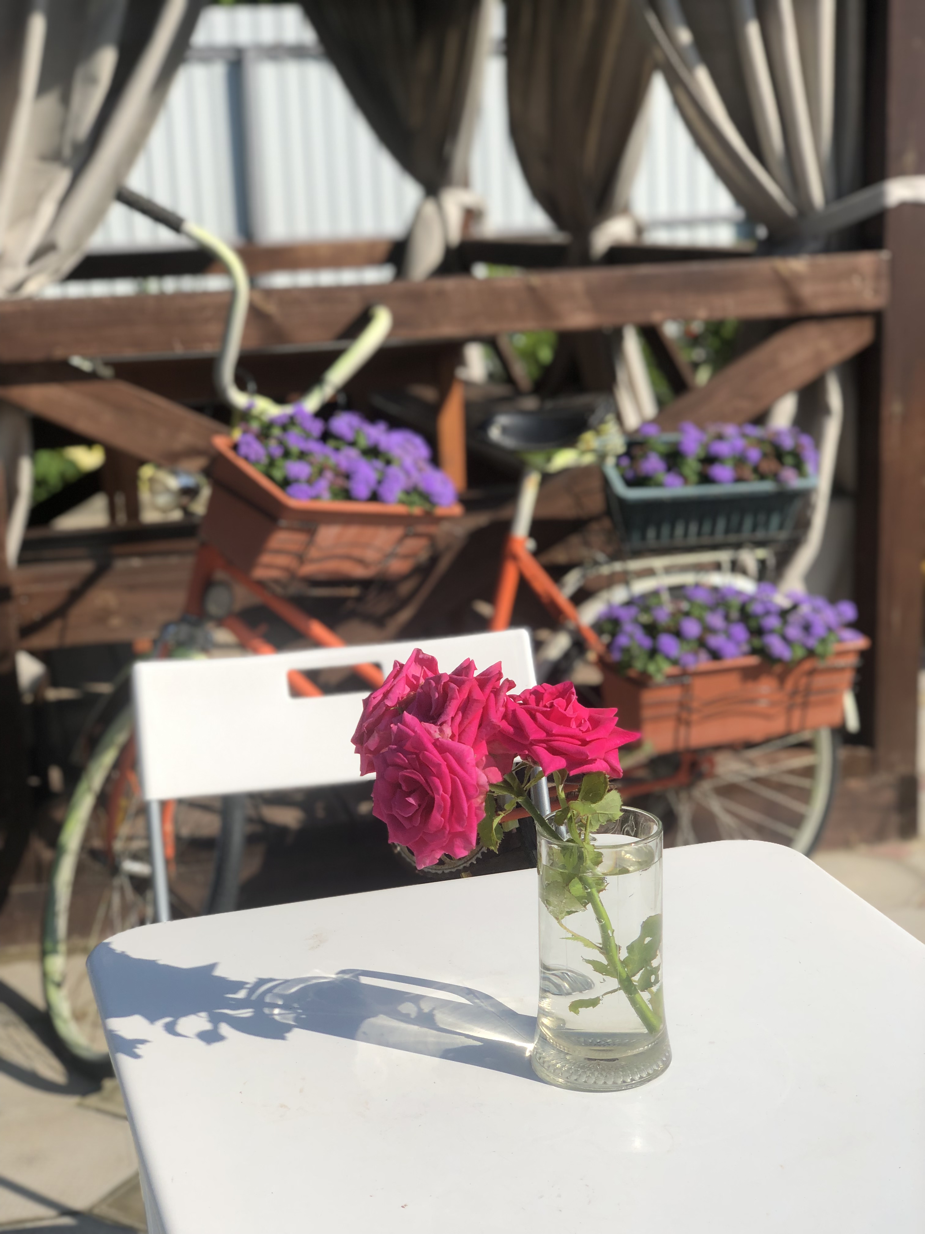 Фото Гранат