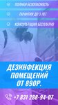 Нижегородский сервис Дезинсекции (Южное ш., 16В), дезинфекция, дезинсекция, дератизация в Нижнем Новгороде