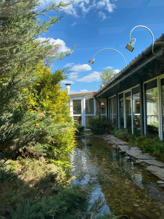 Фото Сытый Ежик