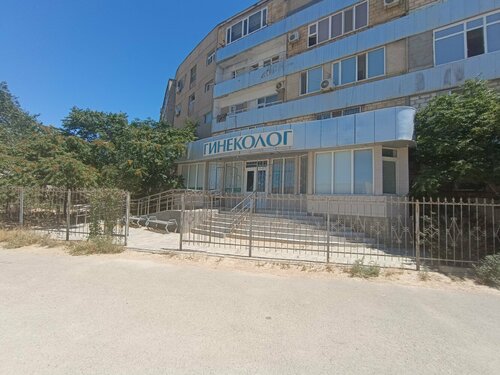 BBWs өздерінің есектерін көрсетеді